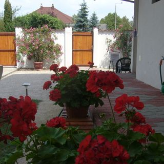 Lantos Apartmanház Zamárdi (4)