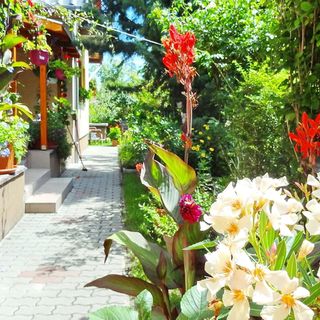 Afrodite Apartmanház Balatongyörök (5)