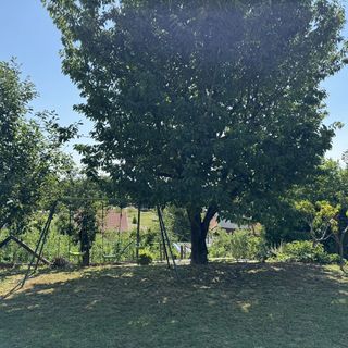 Livia Apartmanház Zalakaros (4)