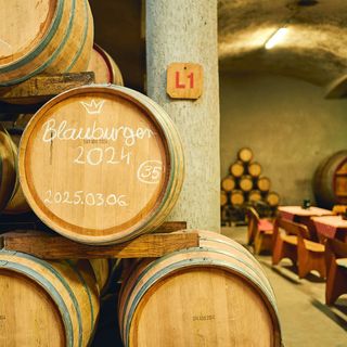 Egri Korona Borház - Borfalu, Wellness Hotel és Kemping (4)