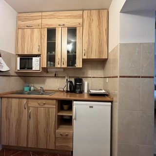 Dániel Apartman Harkány (3)