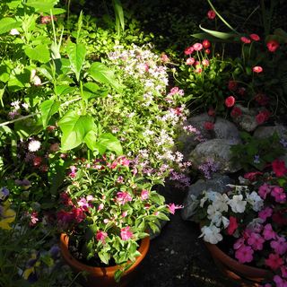 Mandula Vendégház Eger (4)