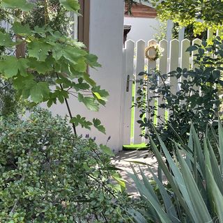 Mandula Vendégház Eger (3)