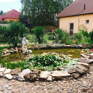 Op-Art Panzió Monor (2)