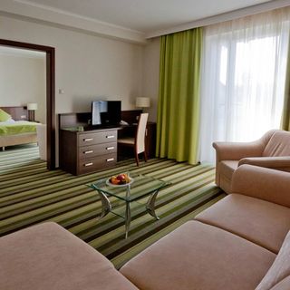Hotel Ginkgo Hódmezővásárhely (3)
