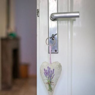 Bed and Breakfast Gödöllő (5)