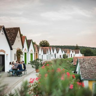 Hotel Cabernet Villánykövesd (2)