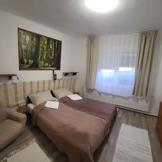 Bárány Vendégház Erdőhorváti (5)