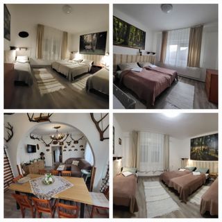 Bárány Vendégház Erdőhorváti (4)