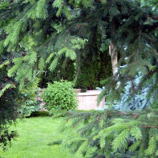 Rajna Nyaraló Bogács (4)