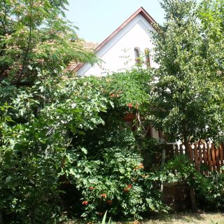 Mandula Vendégház Cserkút (3)