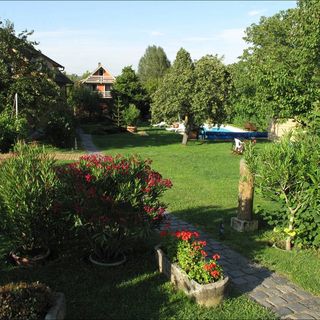 Herold Panzió Dunabogdány (5)