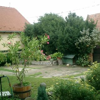 Panni Pihenőház Szentendre (3)