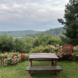 Ciklámen Apartman Velem (2)