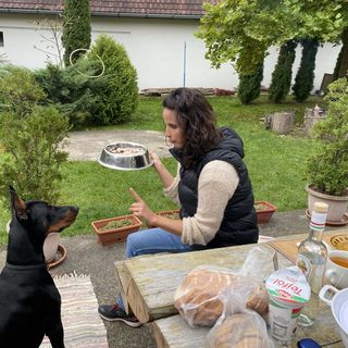 Fanni Vendégház Kishuta (4)