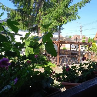 Aszú Vendégház Bük (4)