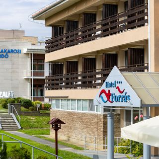 Hotel Forrás Zalakaros (5)