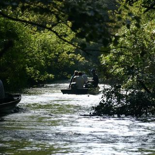 Kormorán Vendégházak Tiszafüred (5)