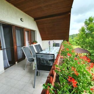 Kondor Vendégház Badacsonytomaj (4)