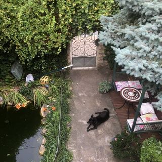 Attila Panzió Gyenesdiás (2)