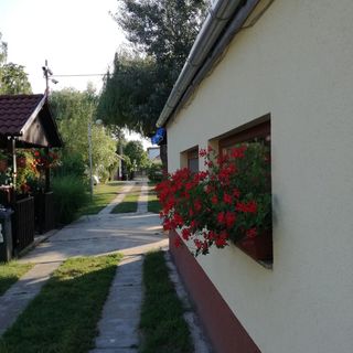 Ani Vendégház Szántód (4)