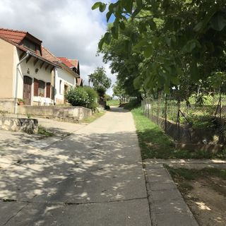 Erzsébet Vendégház Mecseknádasd (2)