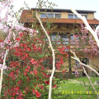 Fenyvesalja Vendégház Orfű (2)