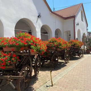 Régi Posta Hotel és Étterem Debrecen (5)