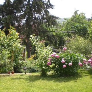 Böne Vendégház Tokaj (3)