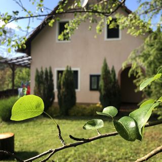 Csendes Vendégház Orfű (2)