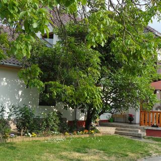 Novák Pince Vendégfogadó Szigetvár (3)