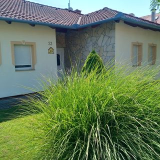 Petra Apartmanház Kehidakustány (3)