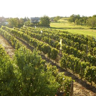 Ország Apartmanház Zalakaros (4)