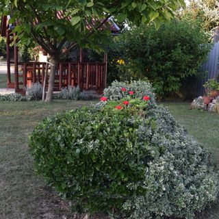 Prokop Vendégház Tolcsva (5)