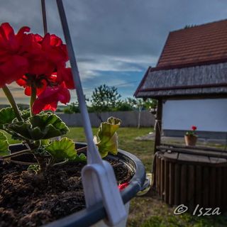 Temes Vendégház Egerszalók (5)