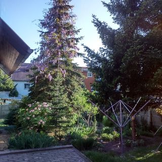 Dolmány Vendégház Sopron (3)