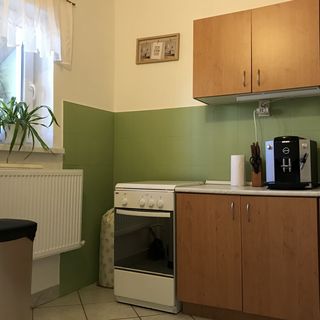 Zöld Vendégház Csernely (5)