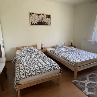 Zöld Vendégház Csernely (3)