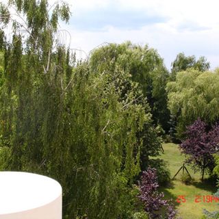 Zamárdi Deluxe Apartman (4)