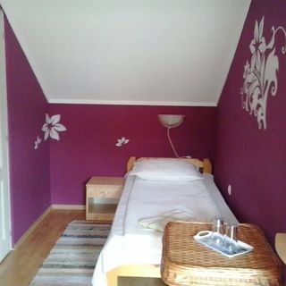 Pensiunea Gabriella Zetea (5)