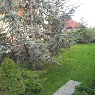 Anna Villa Balatonlelle (2)