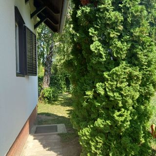 Wéber Haus Balatonkeresztúr (5)