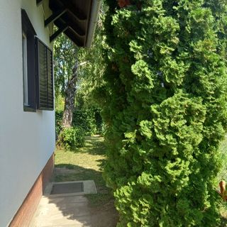 Wéber Haus Balatonkeresztúr (5)