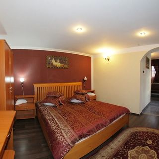 Pensiunea Ramona Zalău (4)