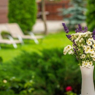 Casa de oaspeți Margareta Odorheiu Secuiesc (4)