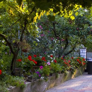 Eszter Apartmanház Siófok (2)