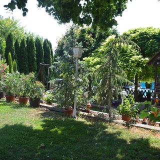 Katica Vendégház Siófok (4)