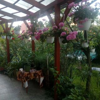 House Markó Balatonmáriafürdő (4)