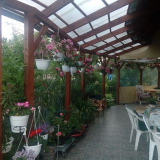 House Markó Balatonmáriafürdő (3)