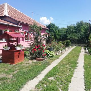 Antóni Vendégház Abádszalók (4)